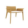 CLUB ARMCHAIR WITH CUSHION (LCO/018/003)