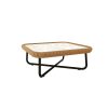COFFEE TABLE WITH GLASS TOP (LCO/033/005)