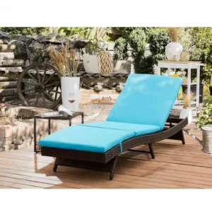 Reclining Lounger Chair